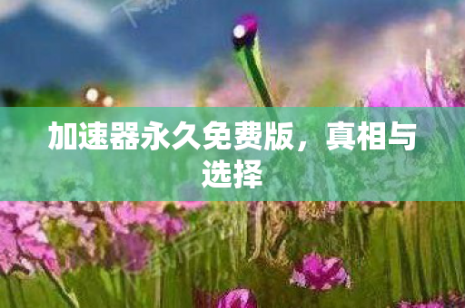 加速器永久免费版，真相与选择