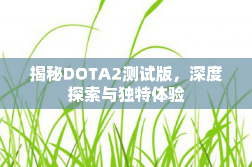 揭秘DOTA2测试版，深度探索与独特体验