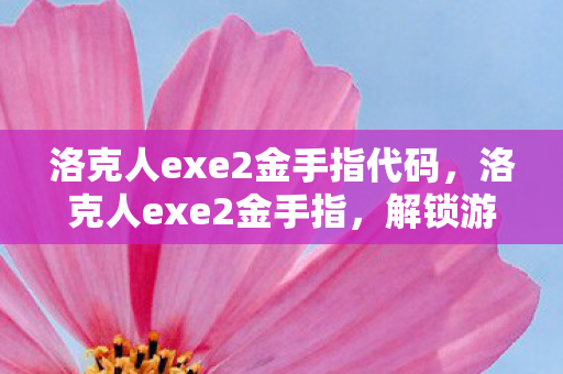洛克人exe2金手指代码图片