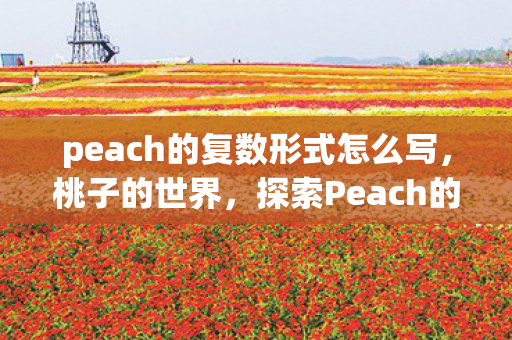 探索Peach的复数形式及其美妙之处图片
