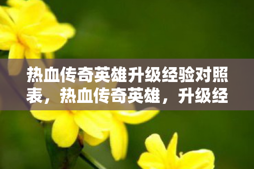 热血传奇英雄升级经验对照表图片