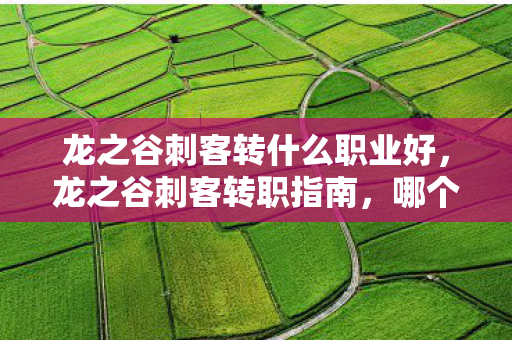 龙之谷刺客转什么职业好图片