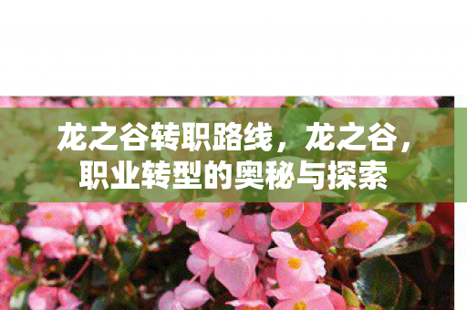 职业转型的奥秘与探索图片