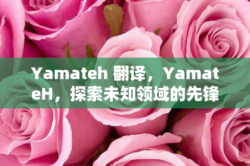 Yamateh 翻译，YamateH，探索未知领域的先锋力量