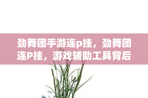游戏辅助工具背后的故事图片