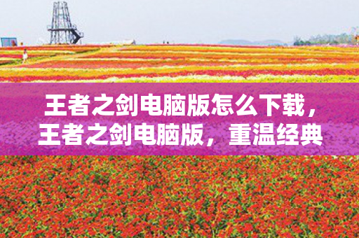 王者之剑电脑版怎么下载图片