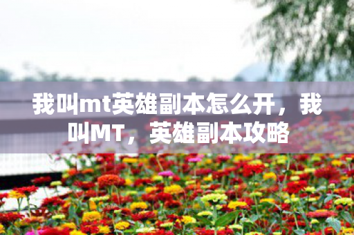 我叫mt英雄副本怎么开图片