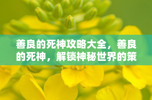 解锁神秘世界的策略指南图片