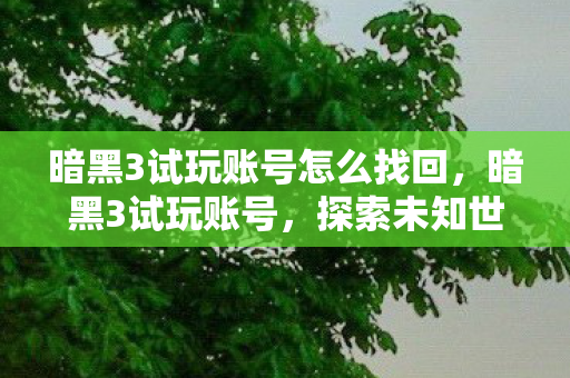 暗黑3试玩账号怎么找回图片