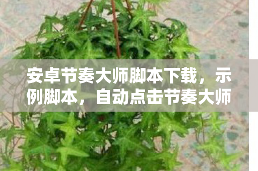 安卓节奏大师脚本下载图片