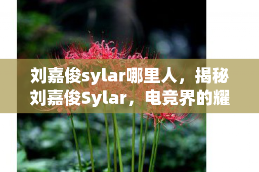 刘嘉俊sylar哪里人，揭秘刘嘉俊Sylar，电竞界的耀眼新星