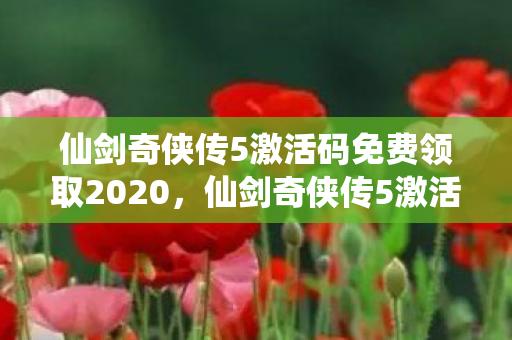 仙剑奇侠传5激活码免费领取2020图片