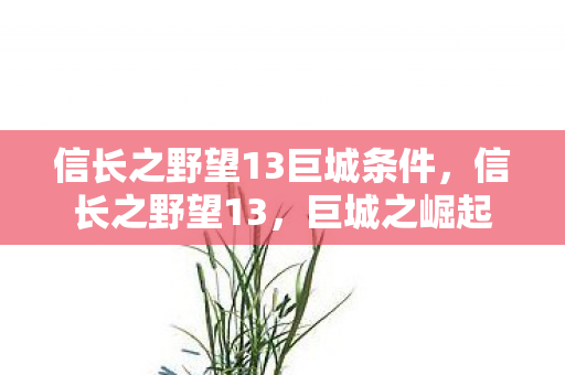 信长之野望13巨城条件图片