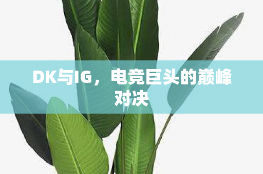 DK与IG，电竞巨头的巅峰对决