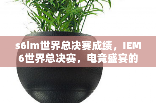 s6im世界总决赛成绩，IEM6世界总决赛，电竞盛宴的巅峰对决