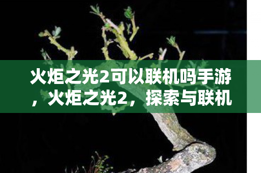 火炬之光2可以联机吗手游图片