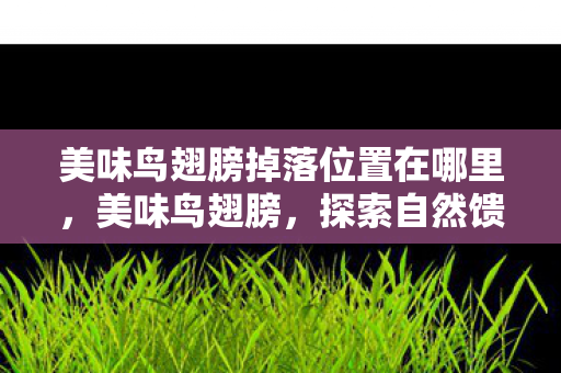 美味鸟翅膀掉落位置在哪里图片