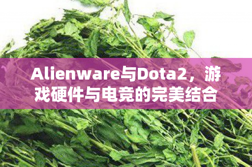 Alienware与Dota2，游戏硬件与电竞的完美结合