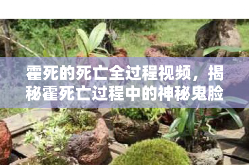 霍死的死亡全过程视频，揭秘霍死亡过程中的神秘鬼脸，真相背后的故事