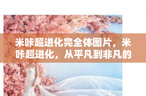 从平凡到非凡的奇妙旅程图片