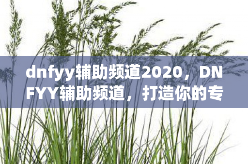 dnfyy辅助频道2020图片