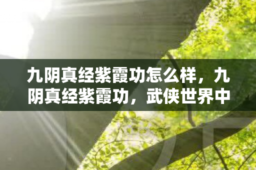 九阴真经紫霞功怎么样，九阴真经紫霞功，武侠世界中的神秘内功心法