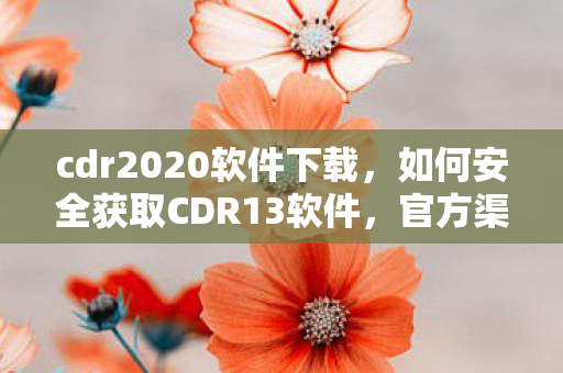 如何安全获取CDR13软件图片