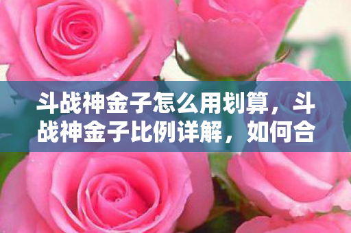 斗战神金子怎么用划算图片