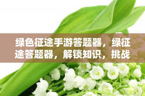 绿色征途手游答题器图片
