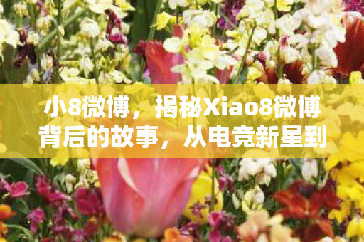 小8微博，揭秘Xiao8微博背后的故事，从电竞新星到社交媒体影响力中心的蜕变之旅