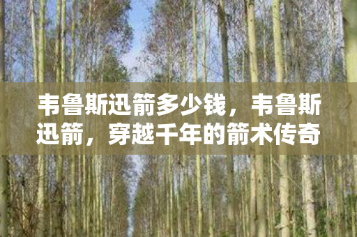 韦鲁斯迅箭多少钱，韦鲁斯迅箭，穿越千年的箭术传奇