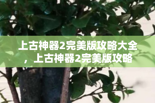 上古神器2完美版攻略大全，上古神器2完美版攻略