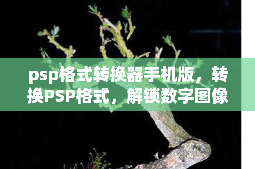 psp格式转换器手机版图片