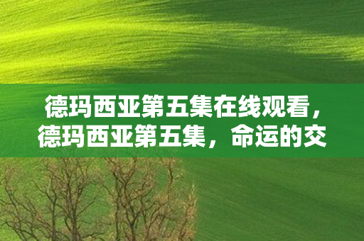 德玛西亚第五集在线观看图片