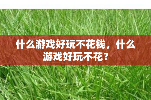 什么游戏好玩不花钱图片