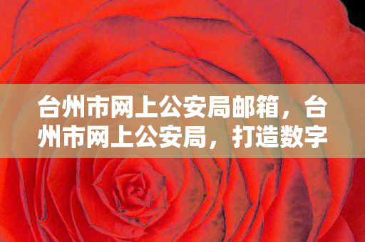 台州市网上公安局邮箱，台州市网上公安局，打造数字化时代的便民服务新平台