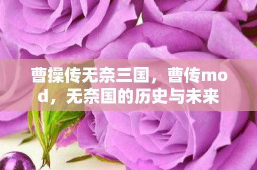 无奈国的历史与未来图片