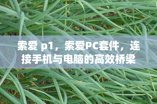 连接手机与电脑的高效桥梁图片