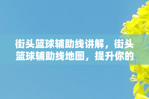 街头篮球辅助线讲解图片