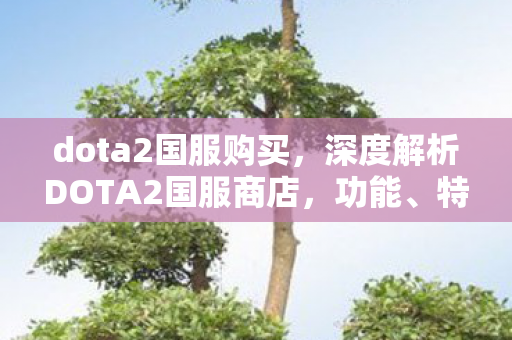 dota2国服购买，深度解析DOTA2国服商店，功能、特点与玩家体验