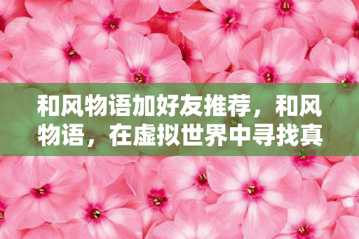 在虚拟世界中寻找真实的友情图片