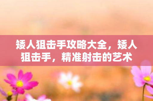 矮人狙击手攻略大全图片