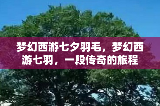 梦幻西游七夕羽毛图片