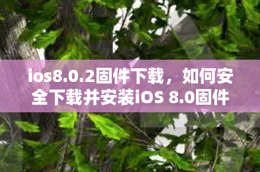 如何安全下载并安装iOS 8图片