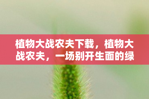 植物大战农夫下载，植物大战农夫，一场别开生面的绿色革命