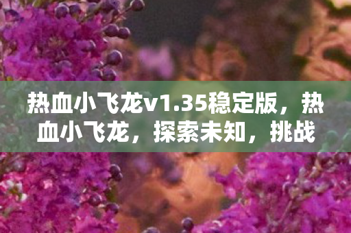 热血小飞龙v1.35稳定版，热血小飞龙，探索未知，挑战极限