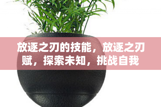 放逐之刃的技能图片