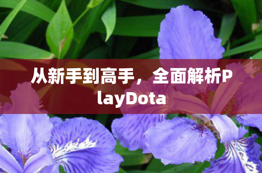 从新手到高手，全面解析PlayDota