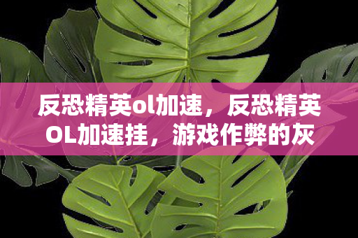 反恐精英OL加速挂图片