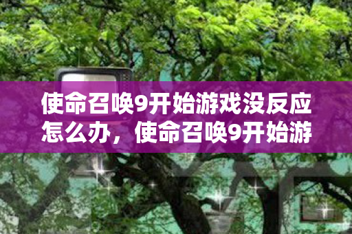 使命召唤9开始游戏无响应的解决方法图片